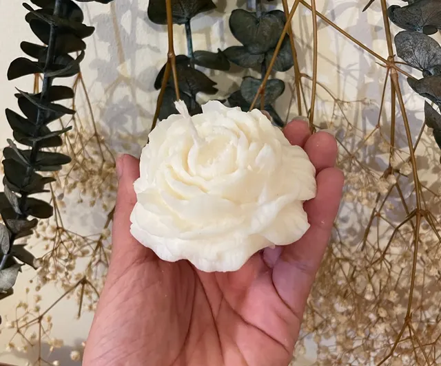 Peonias