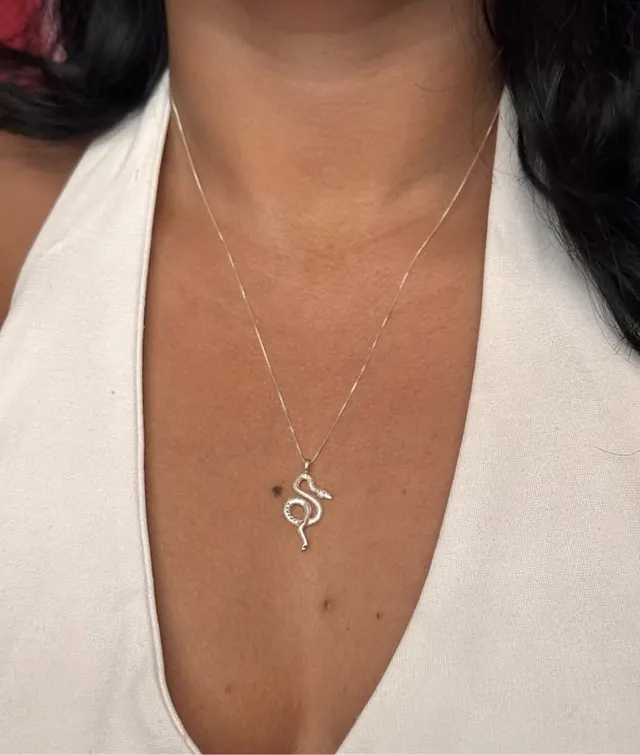Collar con dije de serpiente