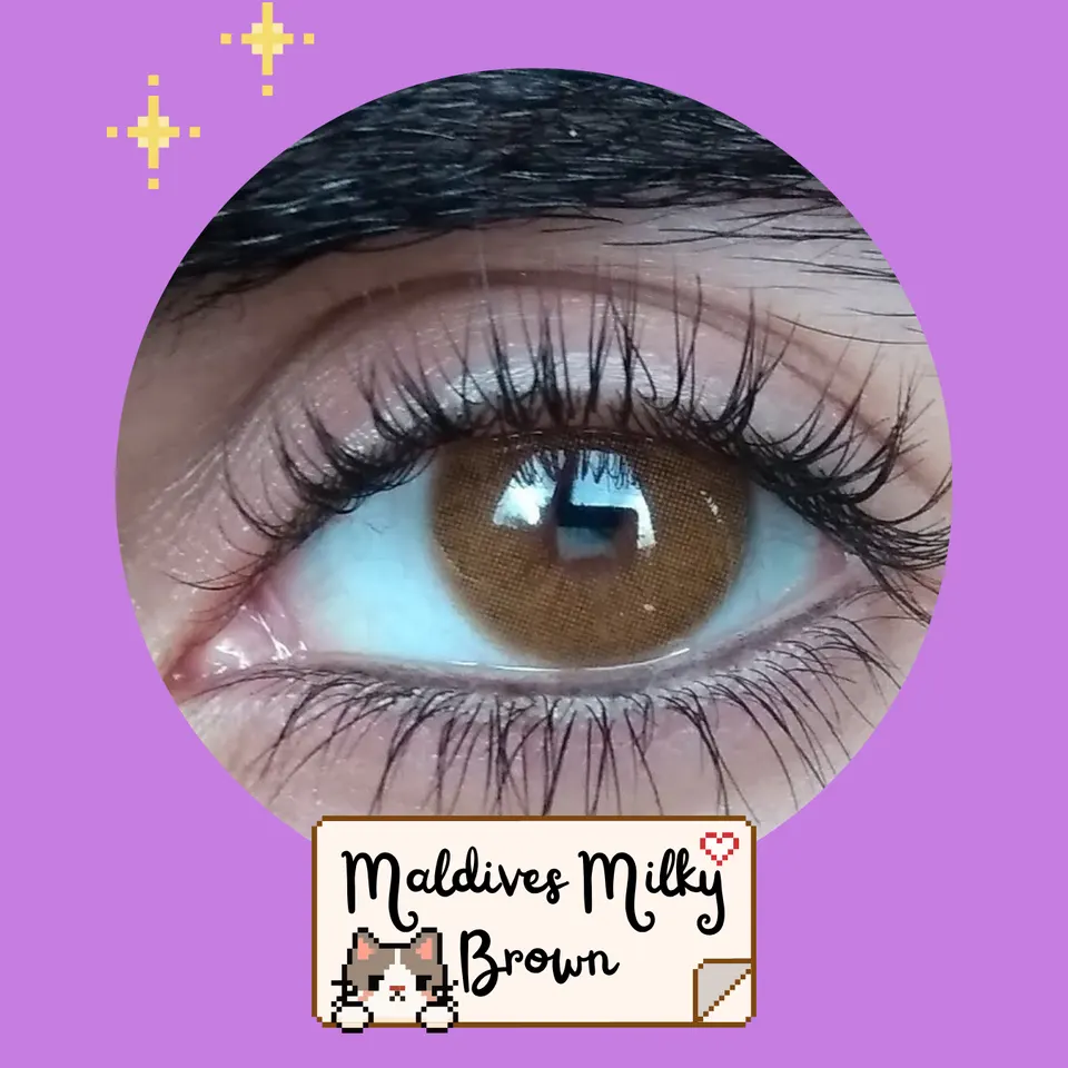Maldives Milky Brown