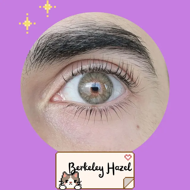 Berkeley Hazel