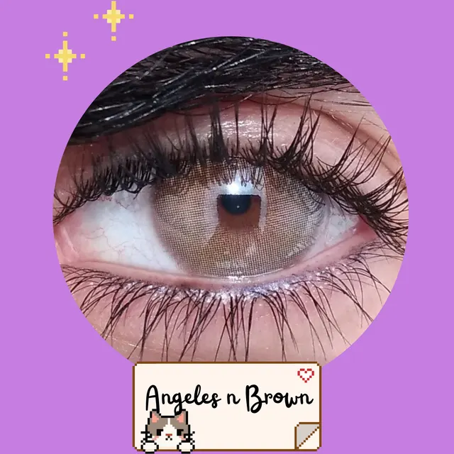 Angeles N Brown
