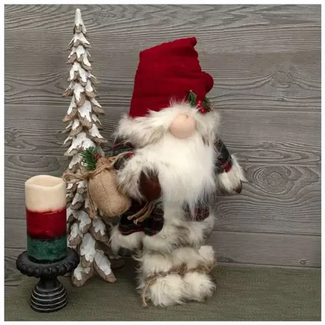 Santa gnomo
