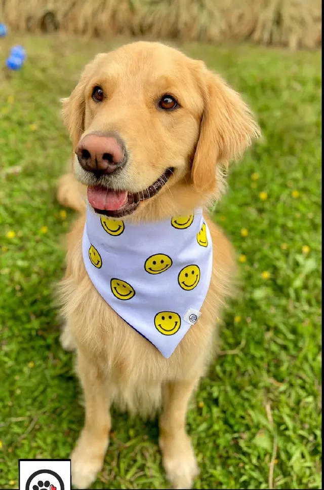 Bandana reversible