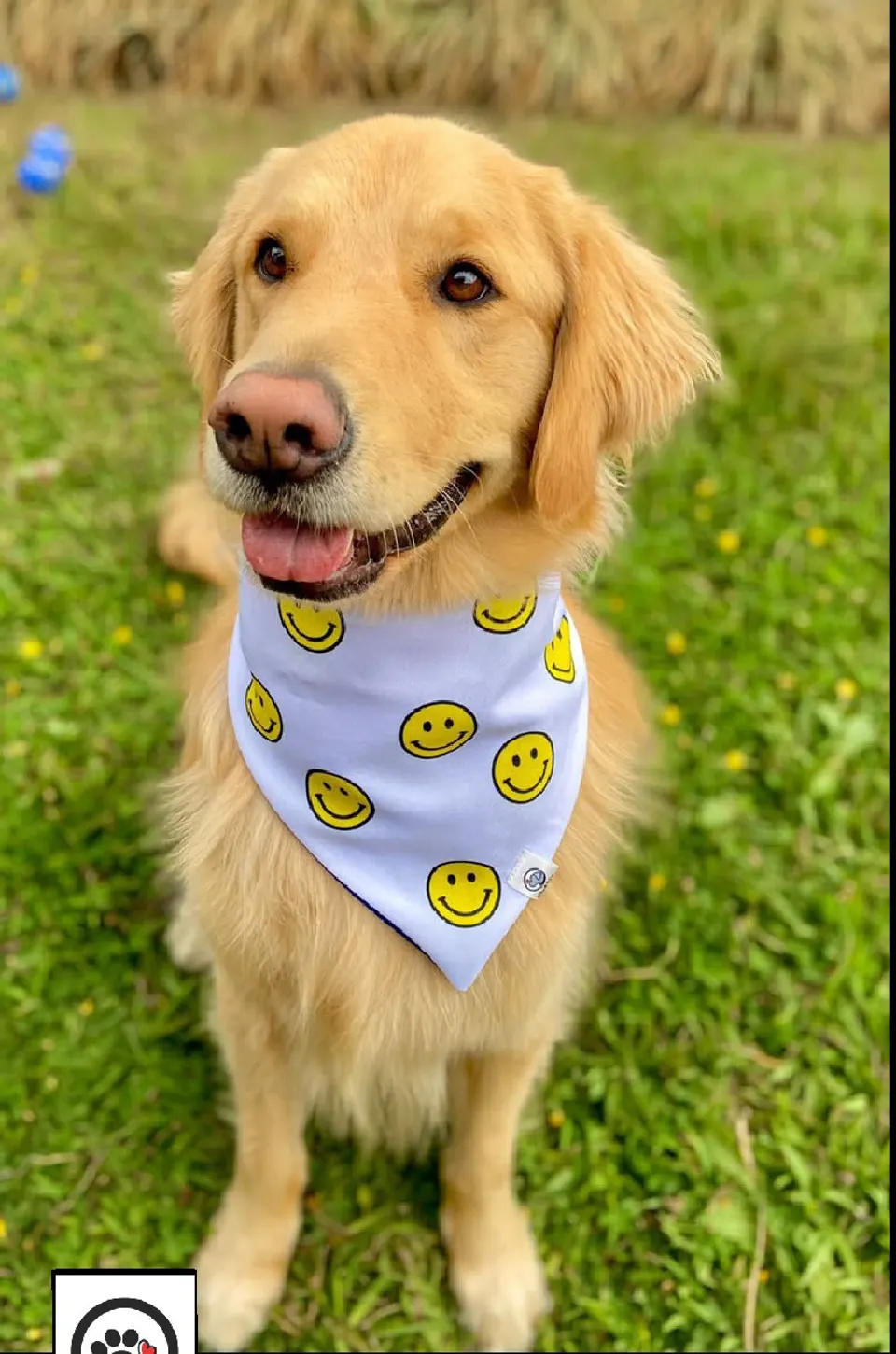 Bandana reversible